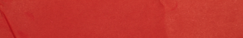 2024 trend colours: Radiant Red